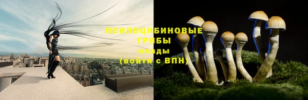 марки nbome Горняк