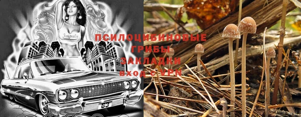 марки nbome Горняк