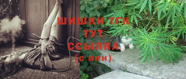 твердый Горнозаводск