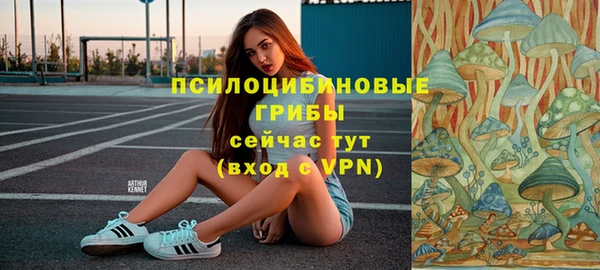 марки nbome Горняк