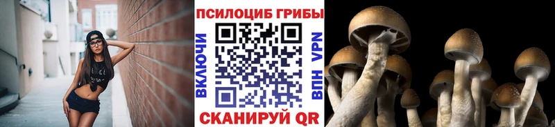 Галлюциногенные грибы GOLDEN TEACHER MEGA ТОР Октябрьск где продают наркотики